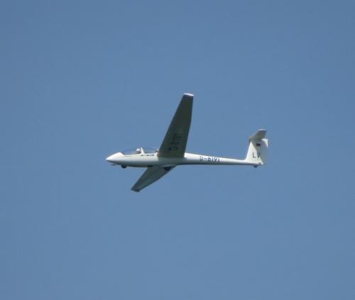 Glider-D-8191-01
