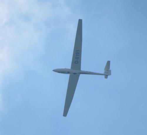 Glider-D-8191-02