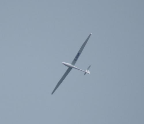 Glider-D-8194-01