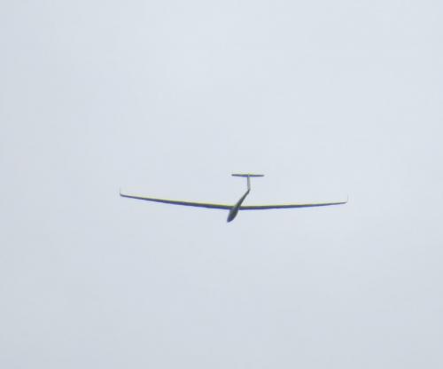 Glider-D-8194-02