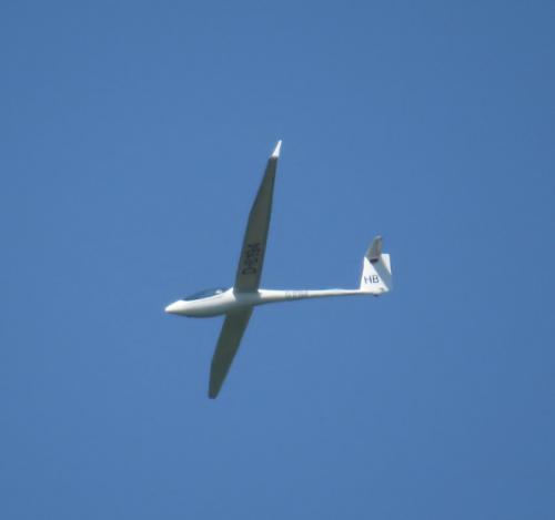 Glider-D-8194-06