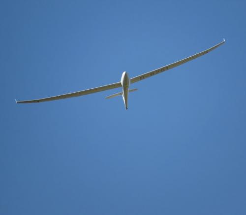 Glider-D-8261-04