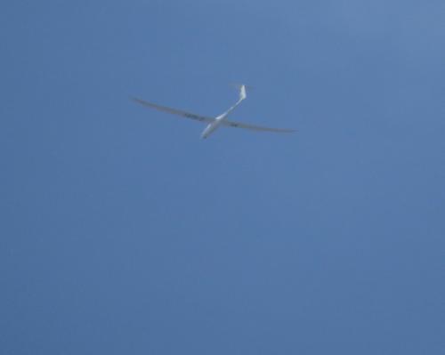 Glider-D-8291-01