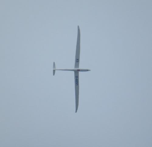 Glider-D-8291-02