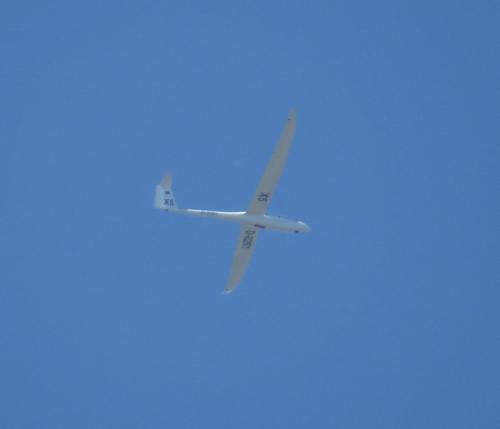 Glider-D-8291-03