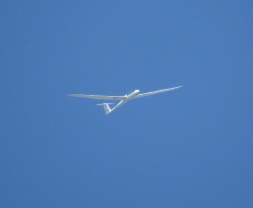 Glider-D-8291-04