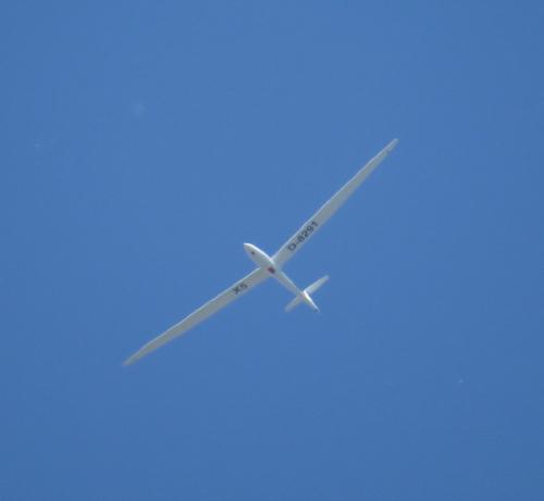 Glider-D-8291-05