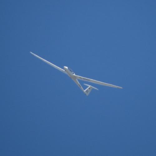 Glider-D-8291-06