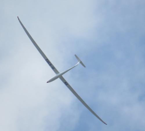 Glider-D-8302-01