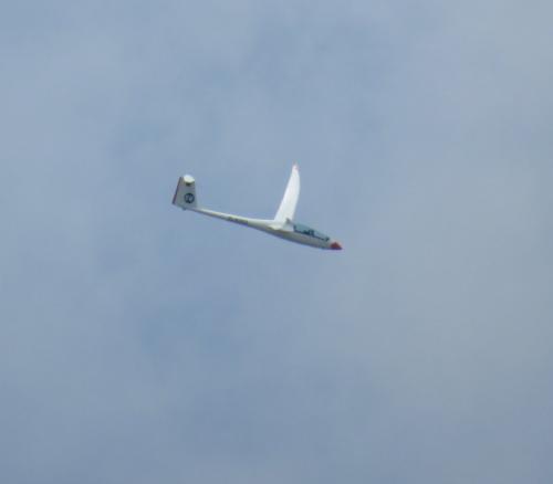 Glider-D-8302-02
