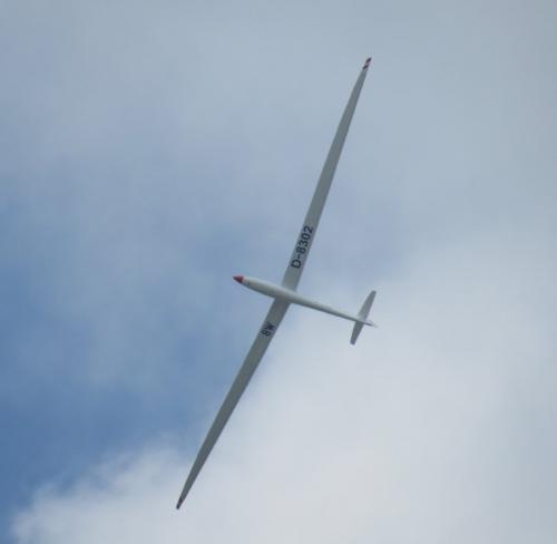 Glider-D-8302-03