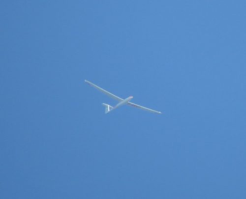 Glider-D-8557-01