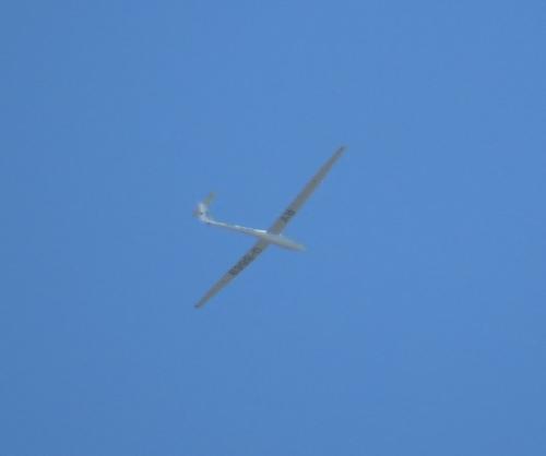 Glider-D-8669-01