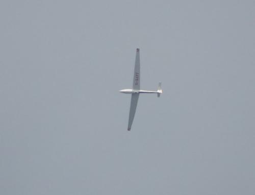 Glider-D-8677-01