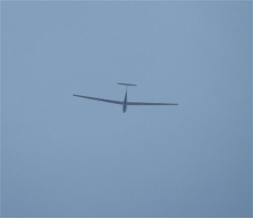 Glider-D-8677-02