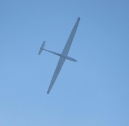 Glider-D-8677-03