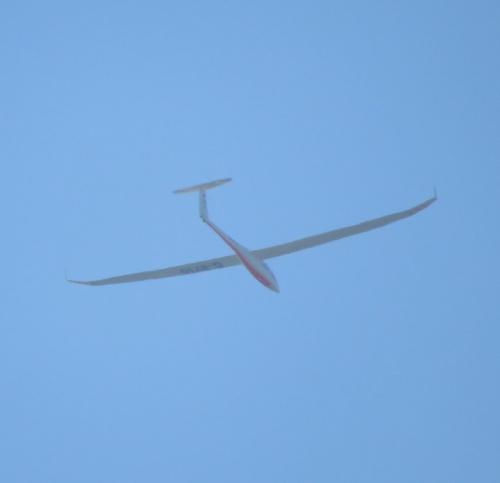 Glider-D-8710-01