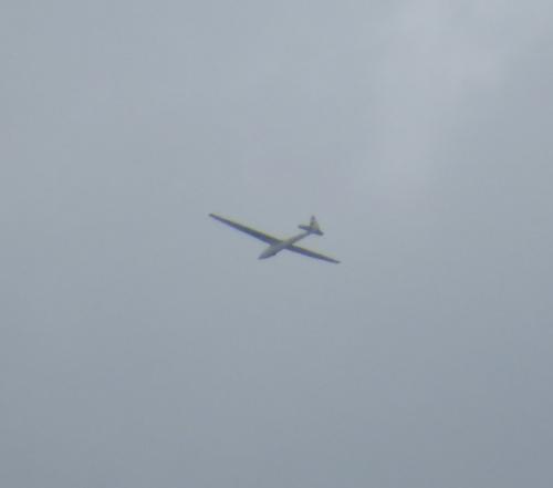 Glider-D-8735-01