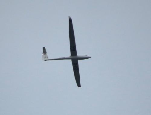 Glider-D-8864-01