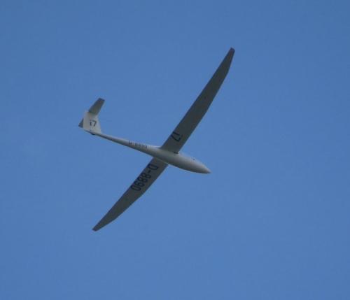 Glider-D-8890-01
