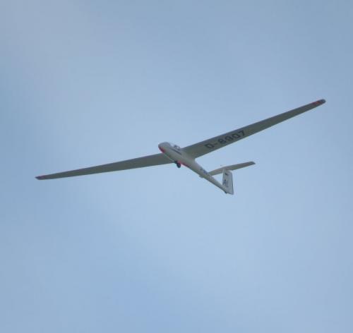 Glider-D-8907-01