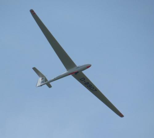 Glider-D-8907-02