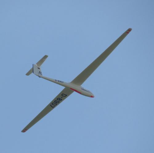 Glider-D-8907-03