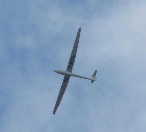Glider-D-8956-01