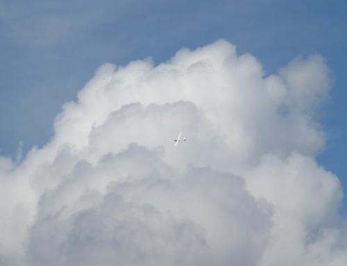 Glider-D-8977-03