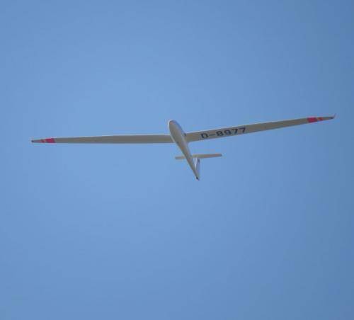 Glider-D-8977-04