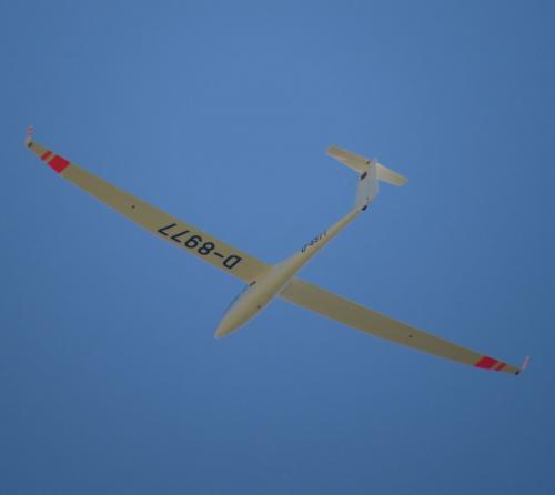 Glider-D-8977-05