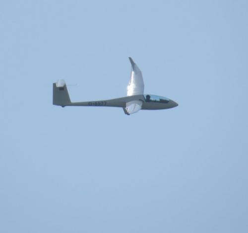 Glider-D-8977-06