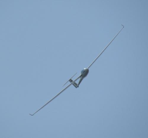 Glider-D-8977-07