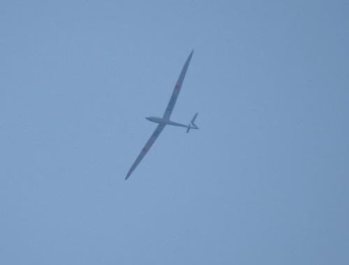 Glider-D-9041-01