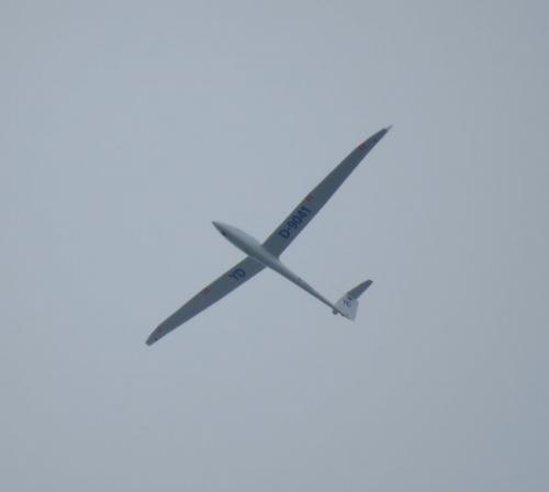 Glider-D-9041-02