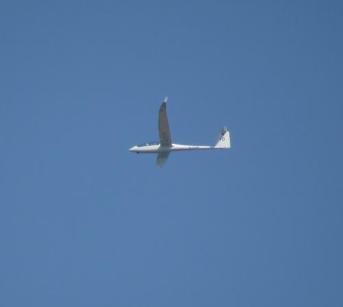 Glider-D-9041-04