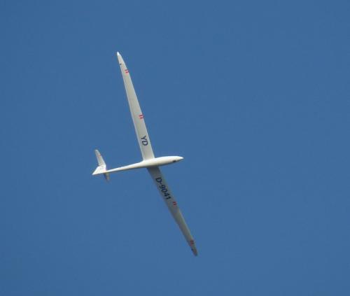 Glider-D-9041-05