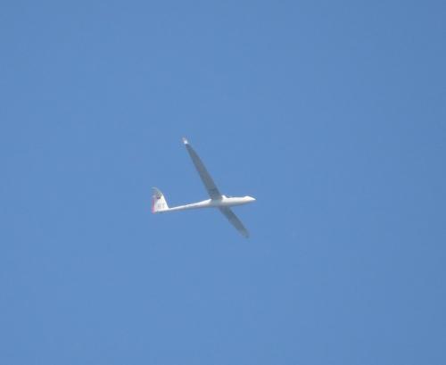 Glider-D-9057-01