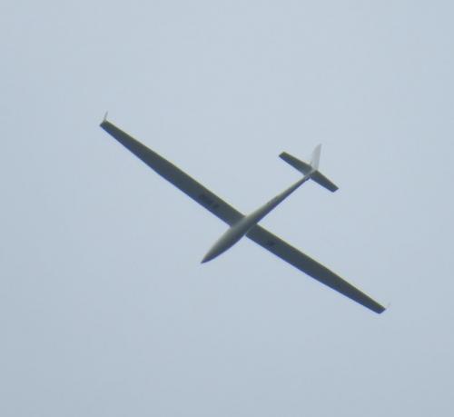 Glider-D-9190-02