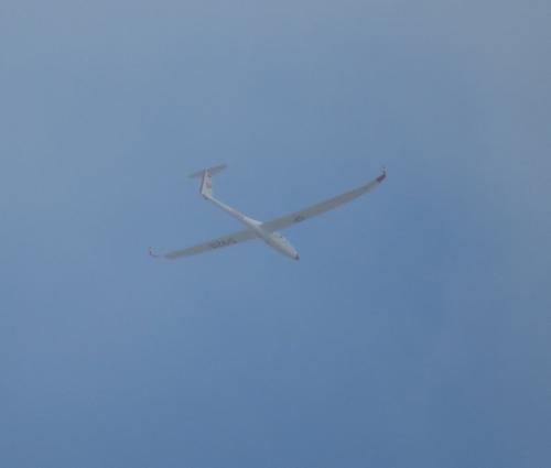 Glider-D-9210-01