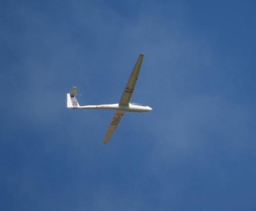 Glider-D-9459-02