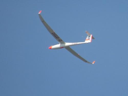 Glider-D-9560-01