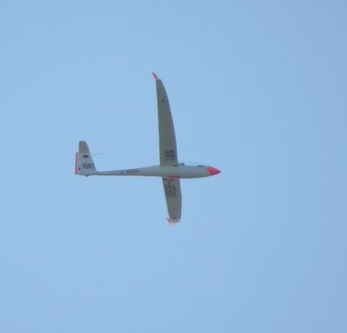 Glider-D-9560-02