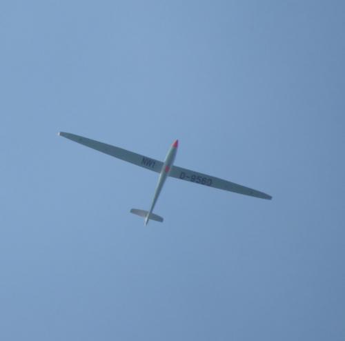 Glider-D-9560-03