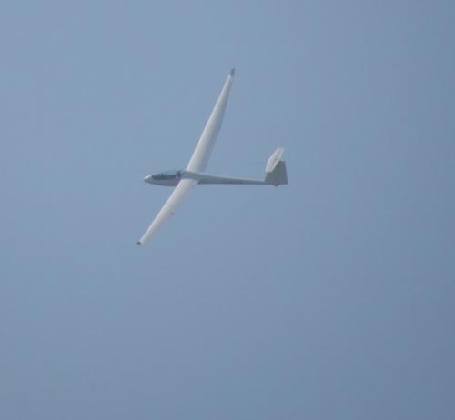 Glider-D-9618-01