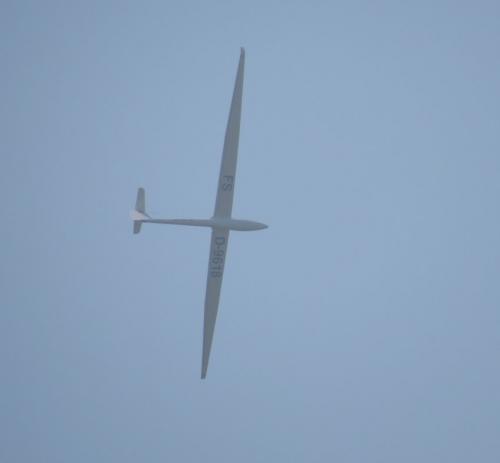 Glider-D-9618-02