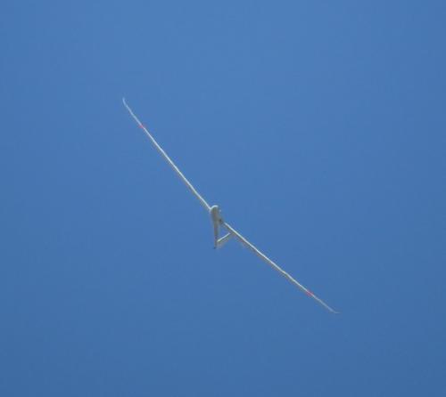 Glider-D-9618-08