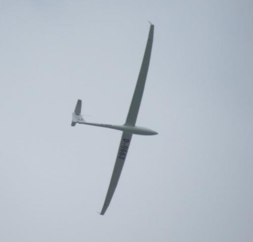 Glider-D-9663-01