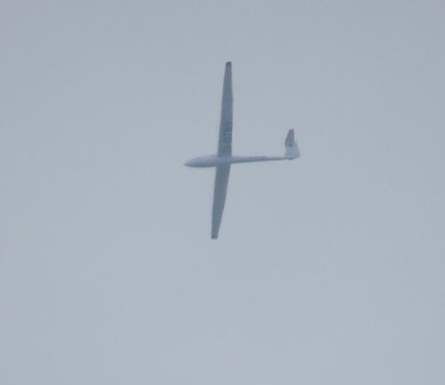 Glider-D-9789-01