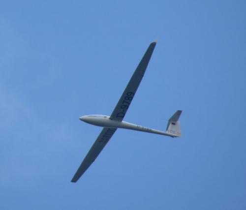 Glider-D-9789-02